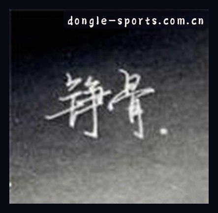 张磊